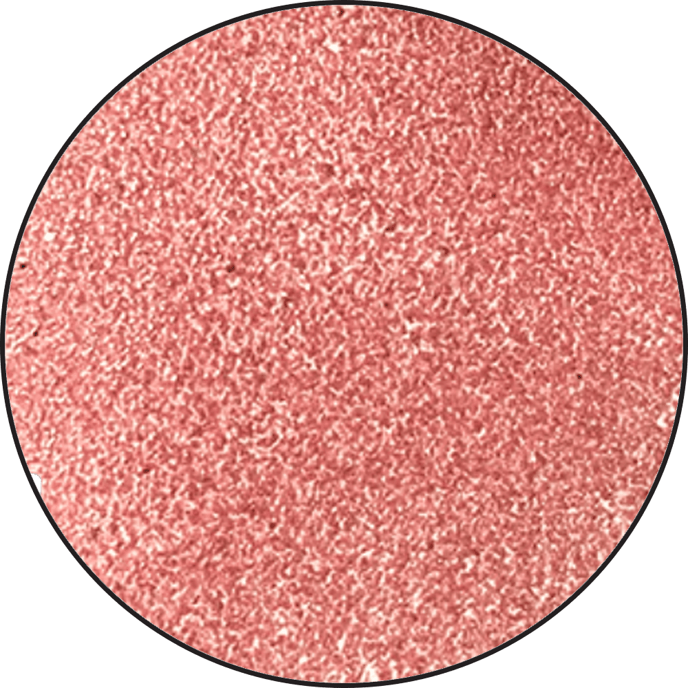 Embossing Powder Rose Quartz, 1oz Jar Powders Ranger Ink 